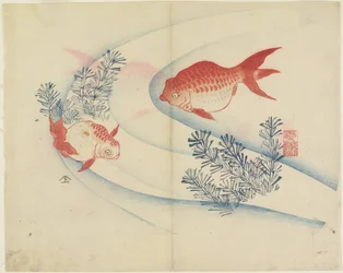 Deux poissons rouges dans l